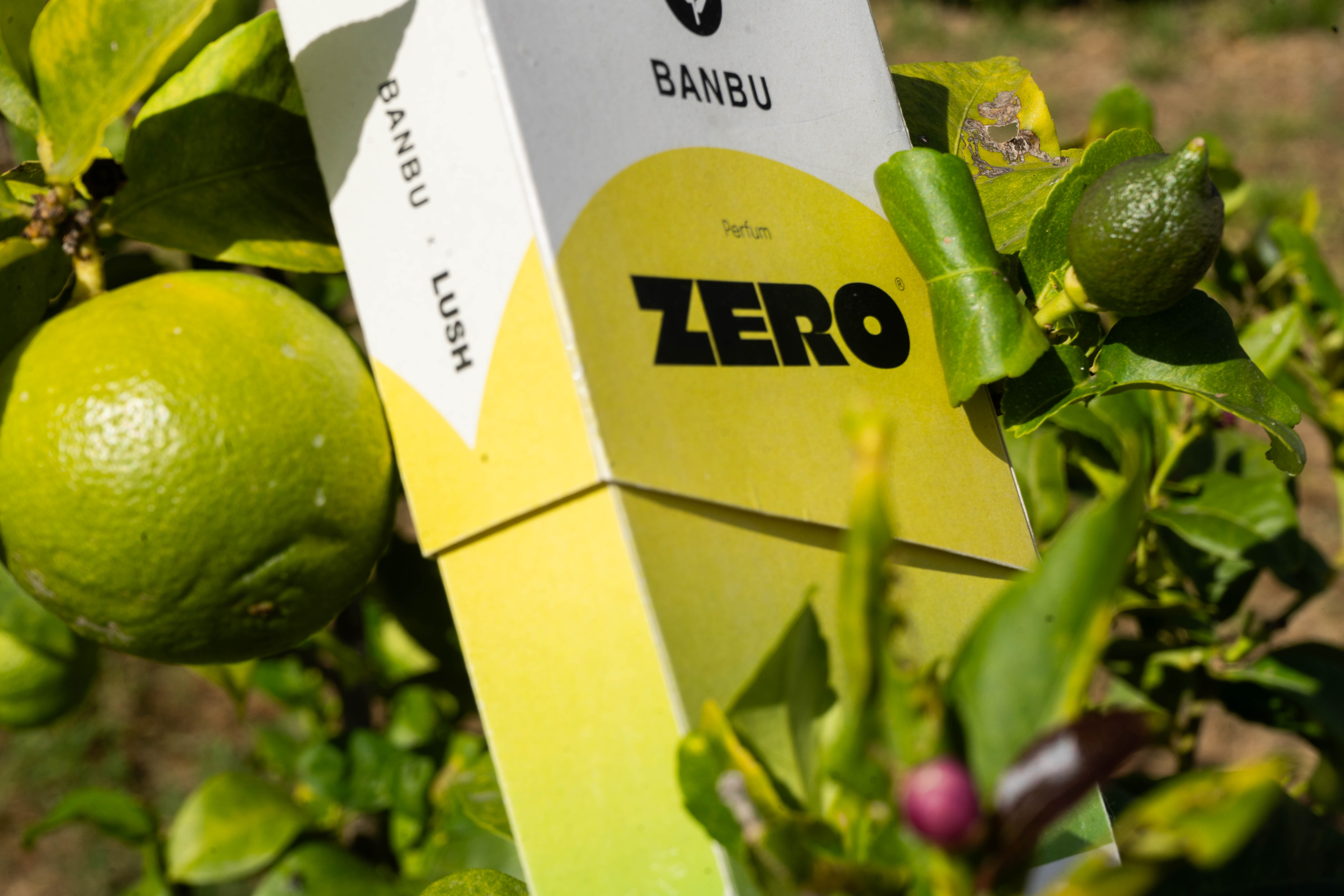 zero-2